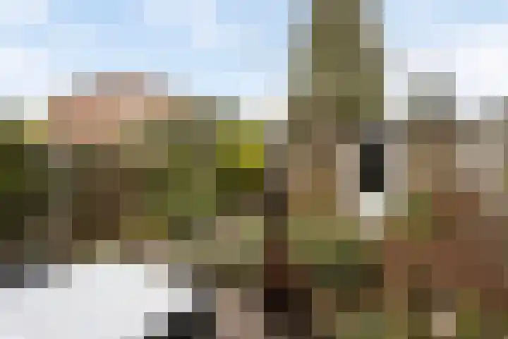 't Hofke 32 Eindhoven thumbnail 34