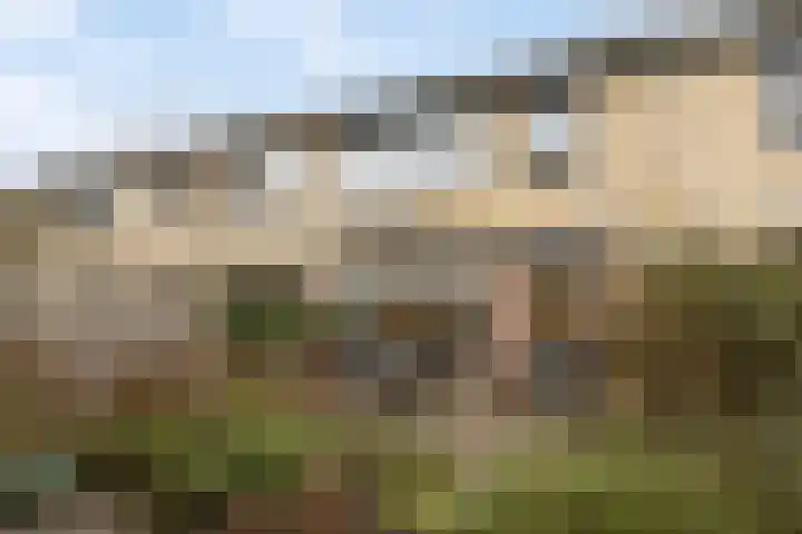 't Hofke 32 Eindhoven thumbnail 35