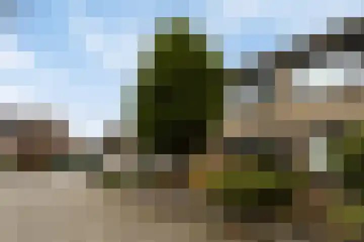 't Hofke 32 Eindhoven thumbnail 37