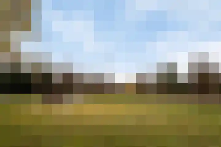 't Hofke 32 Eindhoven thumbnail 40