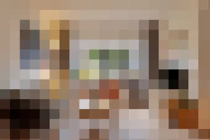 't Hofke 32 Eindhoven thumbnail 7