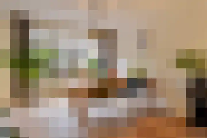 't Hofke 32 Eindhoven thumbnail 9