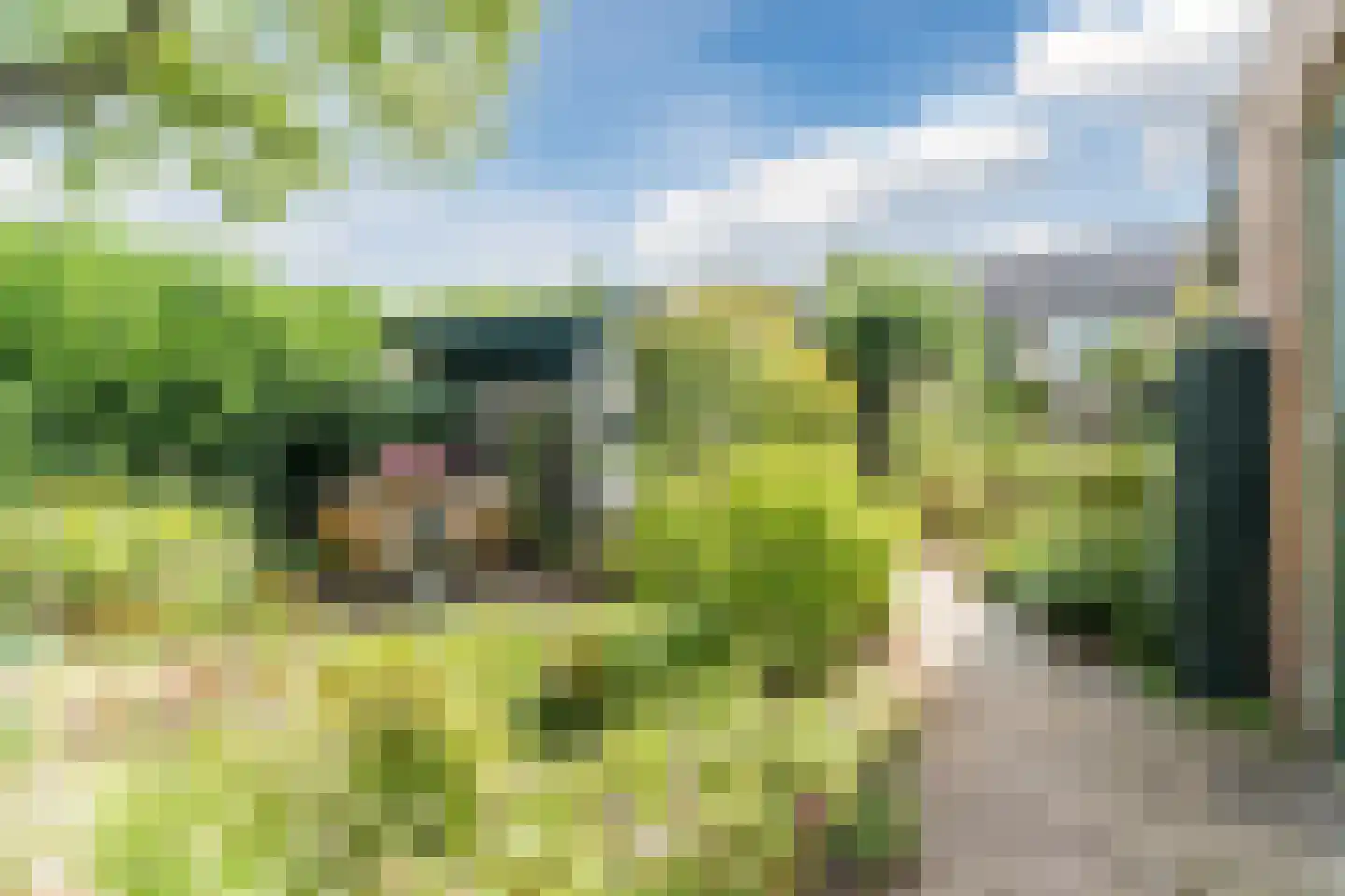 't Hofke 38 Eindhoven thumbnail 22