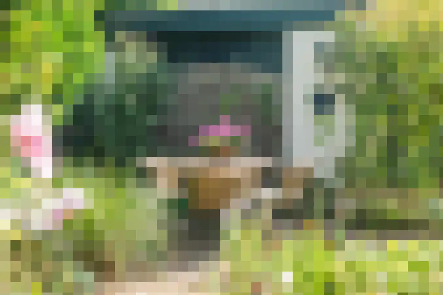 't Hofke 38 Eindhoven thumbnail 23