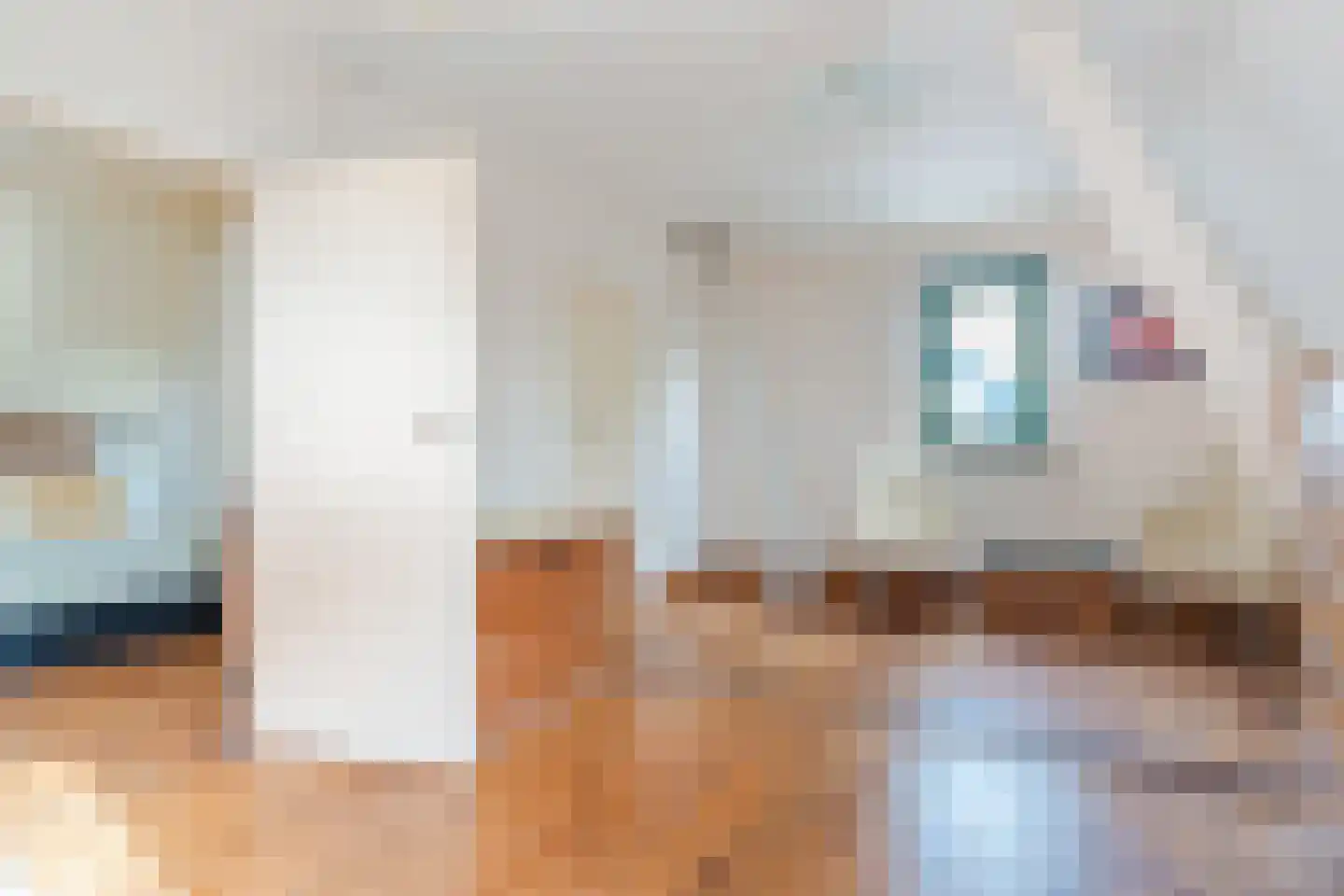 't Hofke 38 Eindhoven thumbnail 25