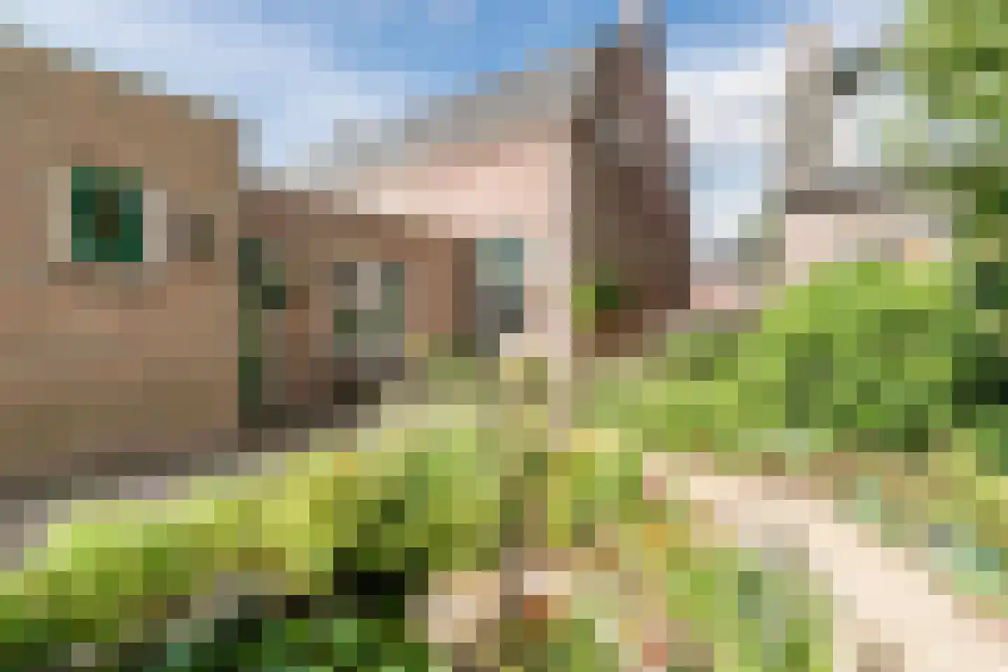 't Hofke 38 Eindhoven thumbnail 4
