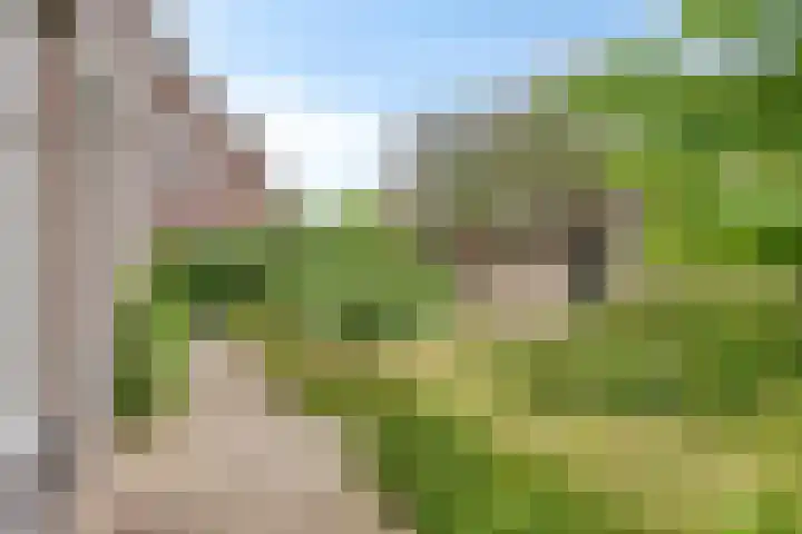 't Höfke 5 Olburgen thumbnail 10