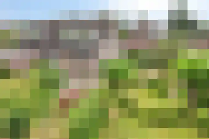 't Höfke 5 Olburgen thumbnail 11