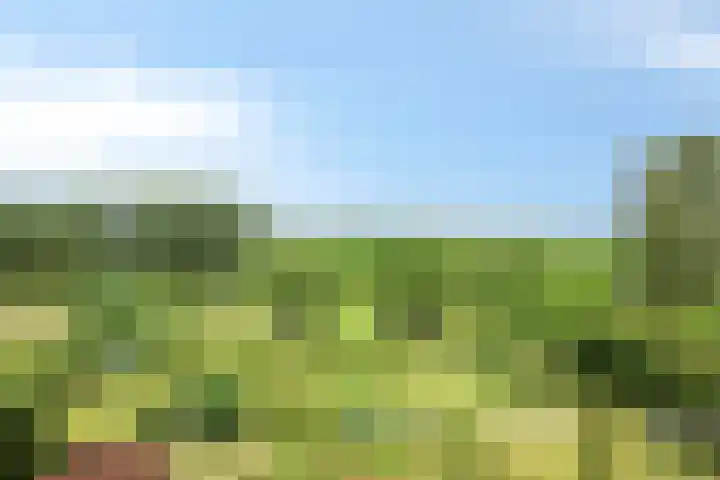 't Höfke 5 Olburgen thumbnail 12