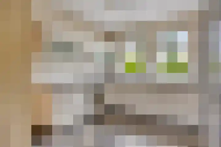 't Höfke 5 Olburgen thumbnail 13