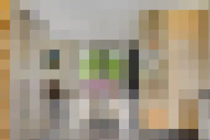 't Höfke 5 Olburgen thumbnail 16