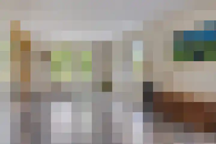 't Höfke 5 Olburgen thumbnail 17