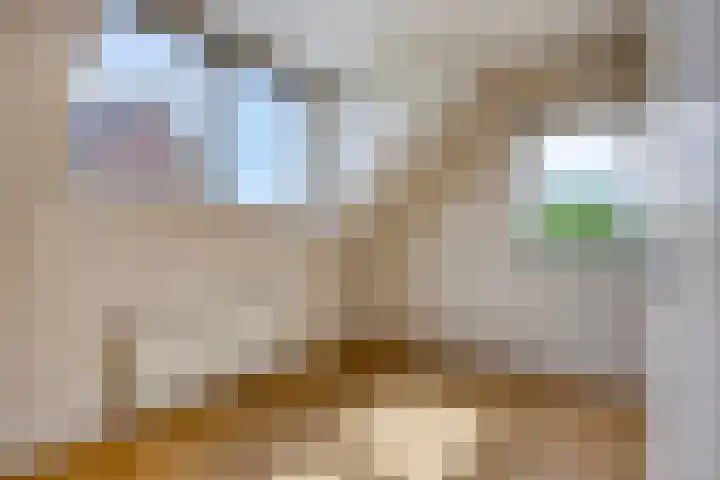 't Höfke 5 Olburgen thumbnail 23