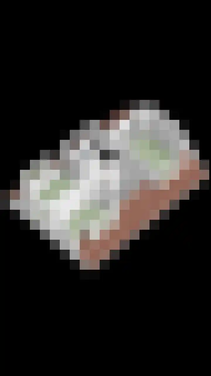 't Höfke 5 Olburgen thumbnail 34