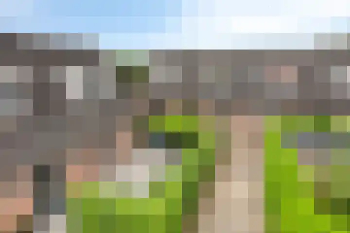 't Höfke 5 Olburgen thumbnail 4