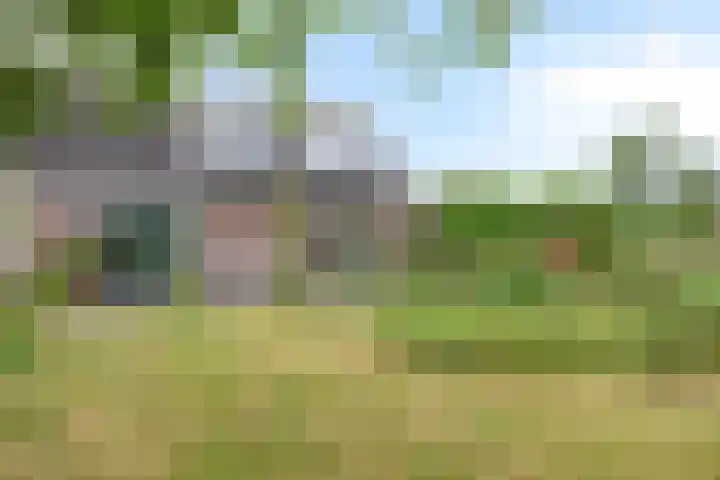 't Höfke 5 Olburgen thumbnail 5