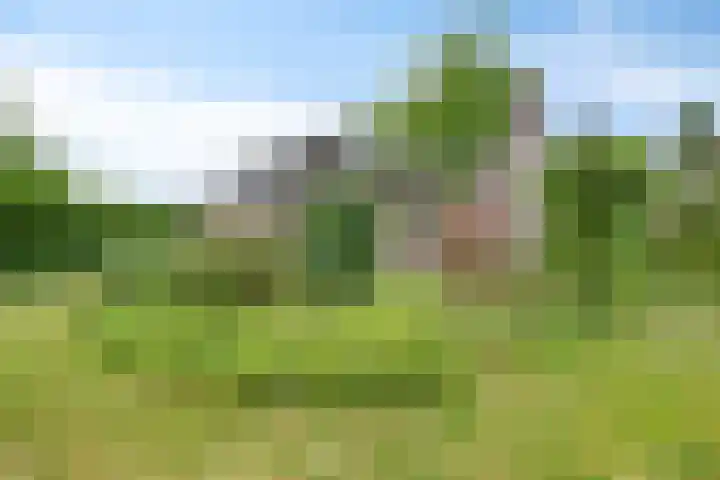 't Höfke 5 Olburgen thumbnail 6