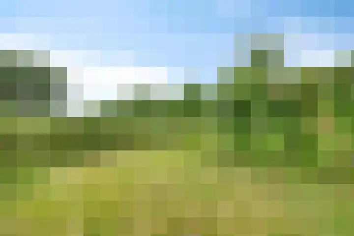 't Höfke 5 Olburgen thumbnail 7