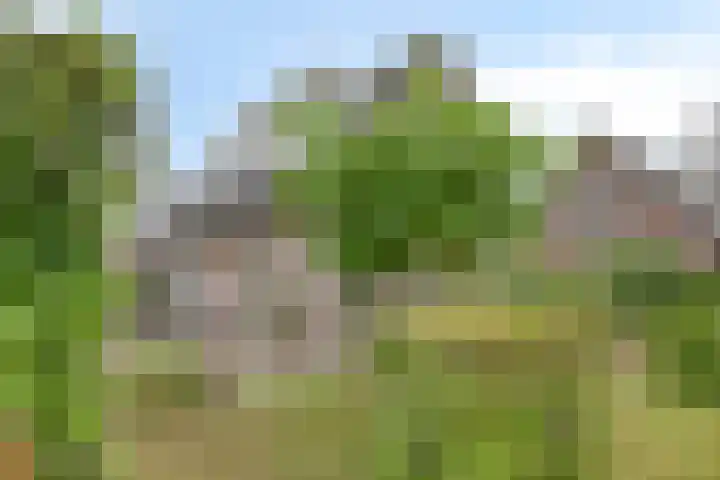 't Höfke 5 Olburgen thumbnail 8
