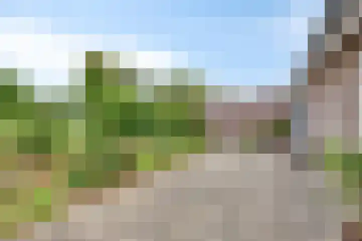 't Höfke 5 Olburgen thumbnail 9