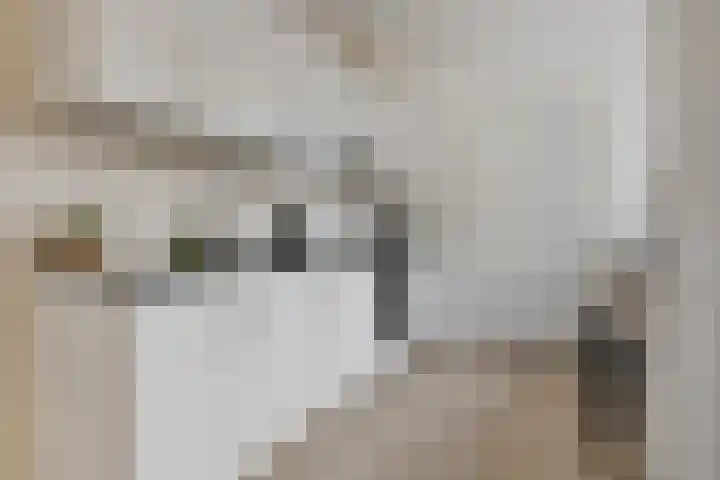 't Hofke 7 Eindhoven thumbnail 14