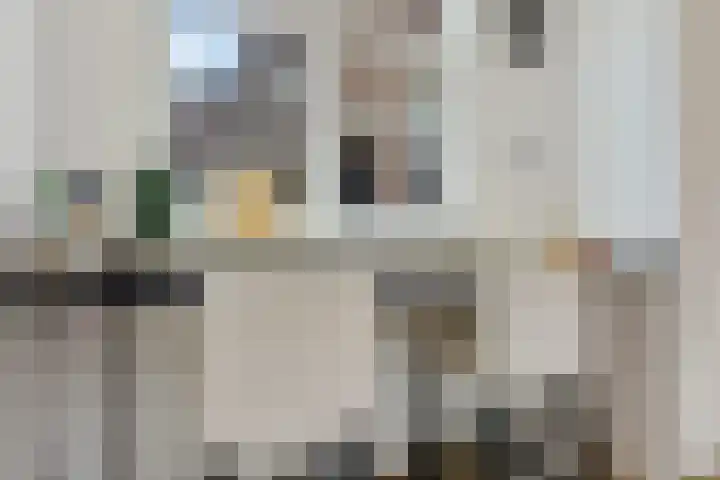 't Hofke 7 Eindhoven thumbnail 15