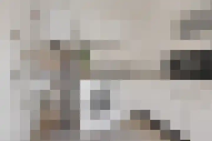 't Hofke 7 Eindhoven thumbnail 16