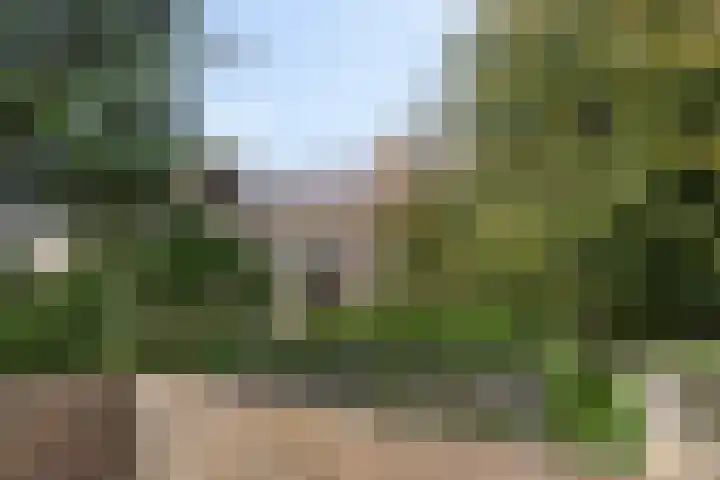 't Hofke 7 Eindhoven thumbnail 21