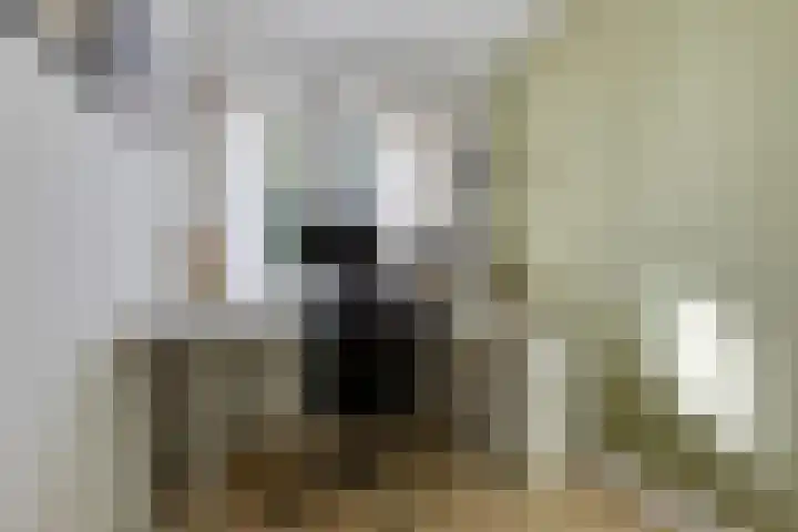't Hofke 7 Eindhoven thumbnail 24
