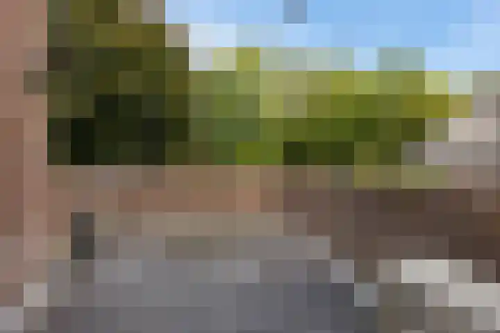 't Hofke 7 Eindhoven thumbnail 28