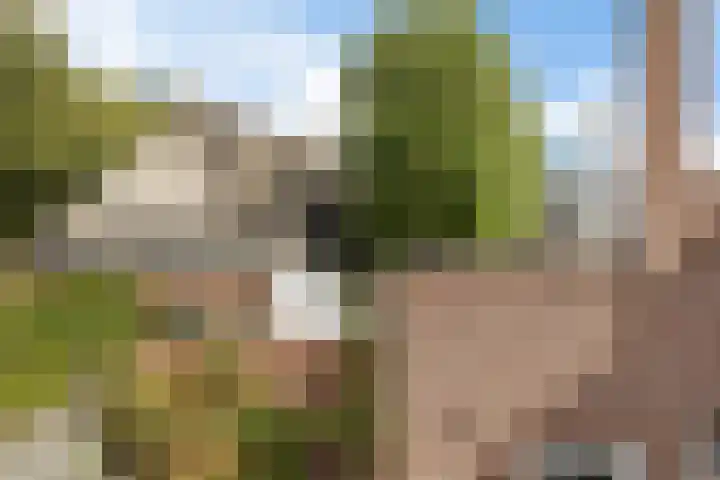 't Hofke 7 Eindhoven thumbnail 29