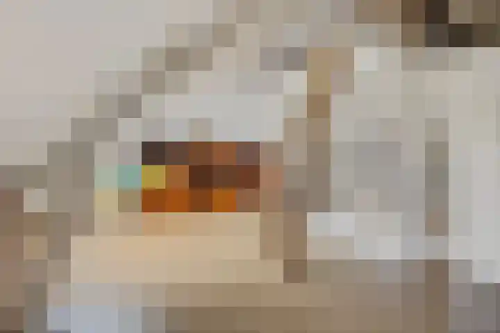 't Hofke 7 Eindhoven thumbnail 33