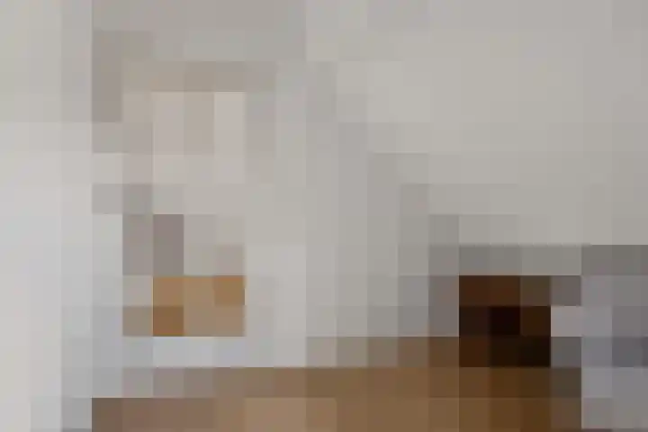 't Hofke 7 Eindhoven thumbnail 34