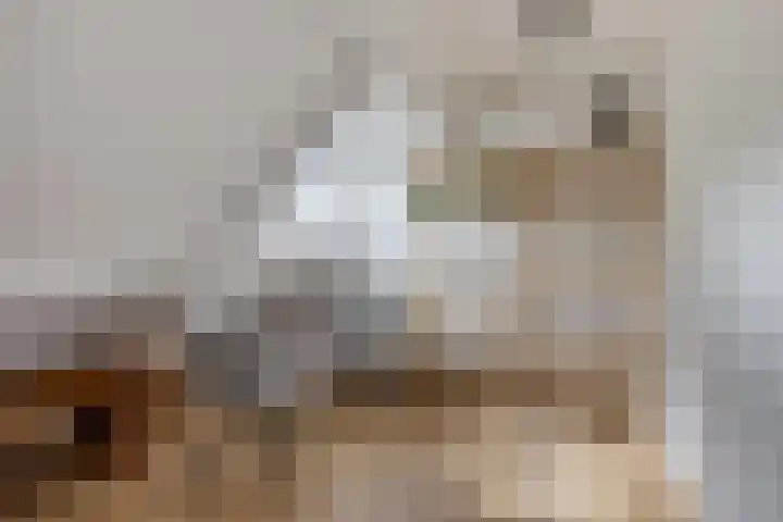 't Hofke 7 Eindhoven thumbnail 35
