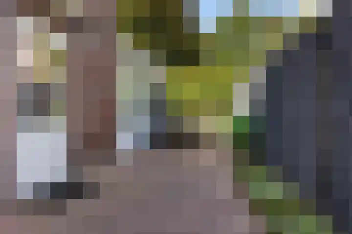 't Hofke 7 Eindhoven thumbnail 36