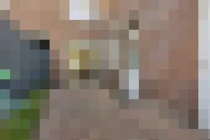 't Hofke 7 Eindhoven thumbnail 37