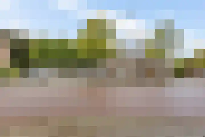't Hofke 7 Eindhoven thumbnail 39