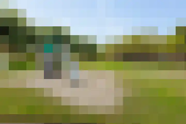 't Hofke 7 Eindhoven thumbnail 41