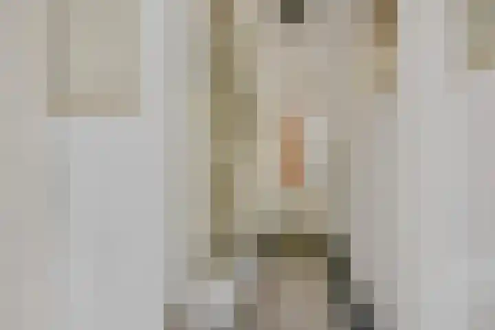 't Hofke 7 Eindhoven thumbnail 7