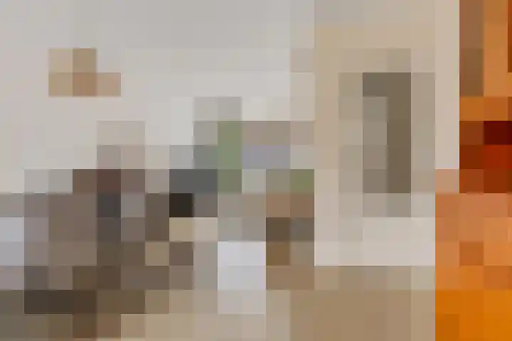 't Hofke 7 Eindhoven thumbnail 8