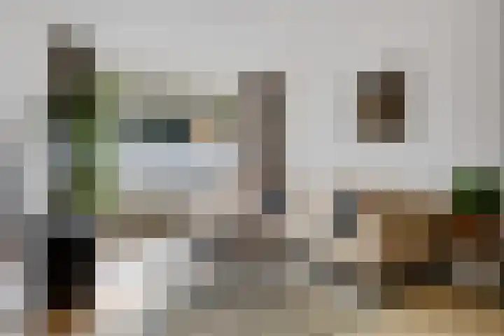 't Hofke 7 Eindhoven thumbnail 9