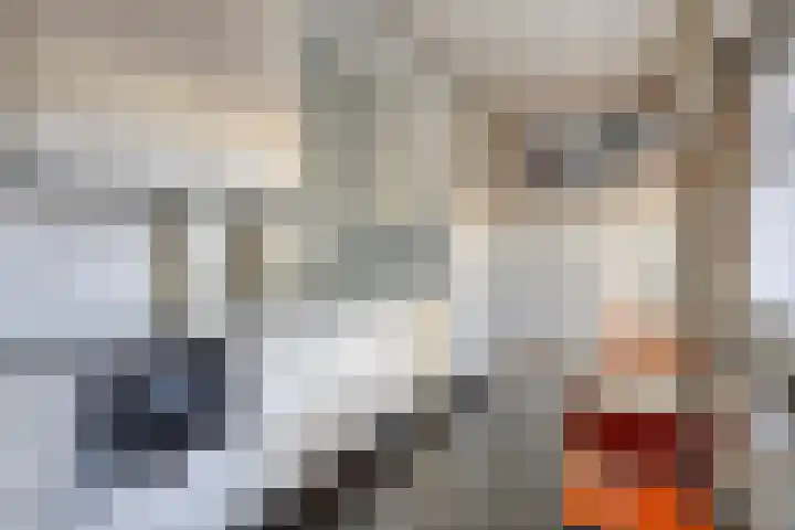 't Hofke 77 Eindhoven thumbnail 15