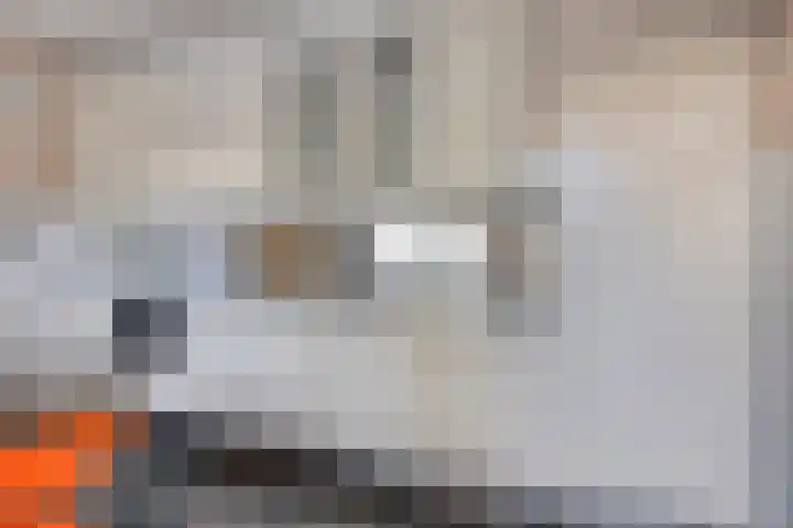 't Hofke 77 Eindhoven thumbnail 17