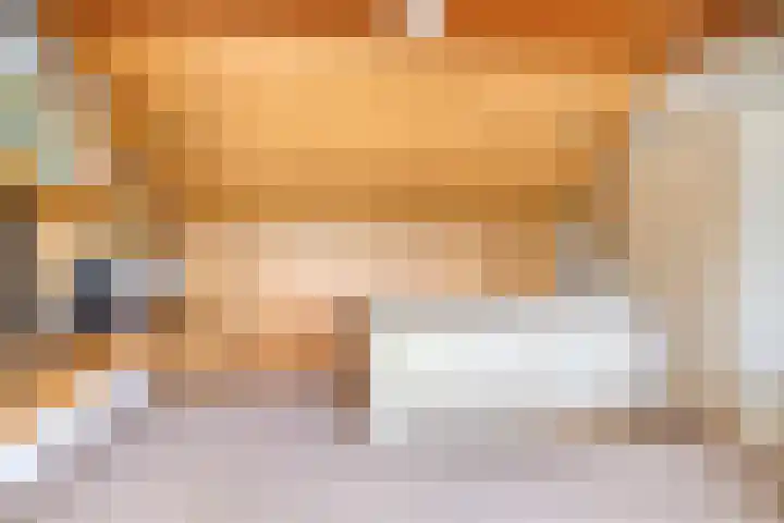 't Hofke 77 Eindhoven thumbnail 26