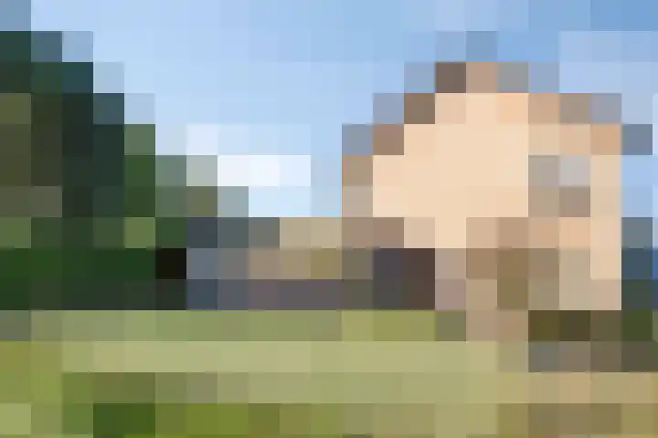 't Hofke 77 Eindhoven thumbnail 28