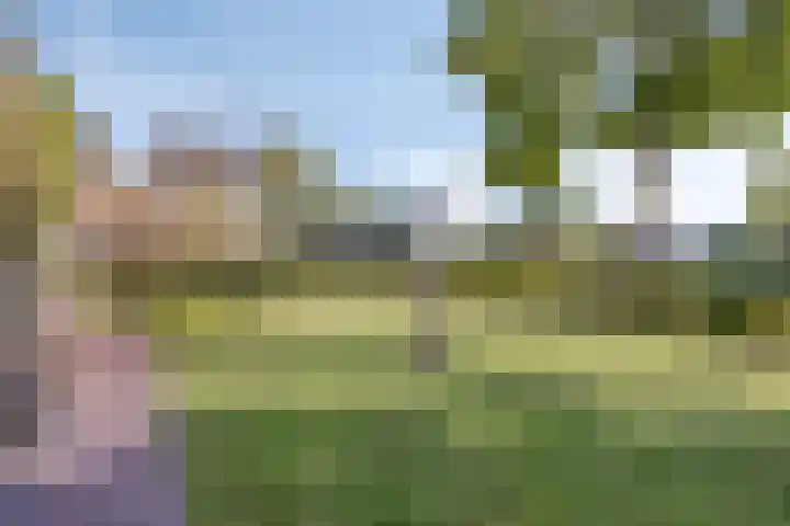 't Hofke 77 Eindhoven thumbnail 29