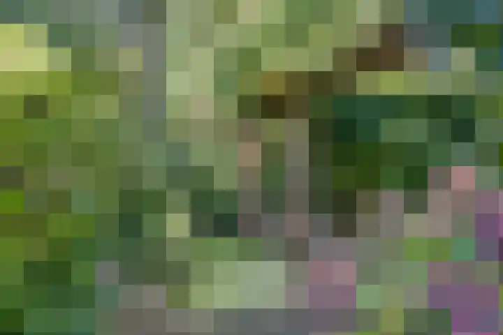 't Hofke 77 Eindhoven thumbnail 30