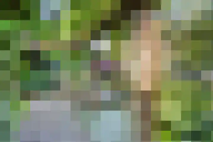 't Hofke 77 Eindhoven thumbnail 33