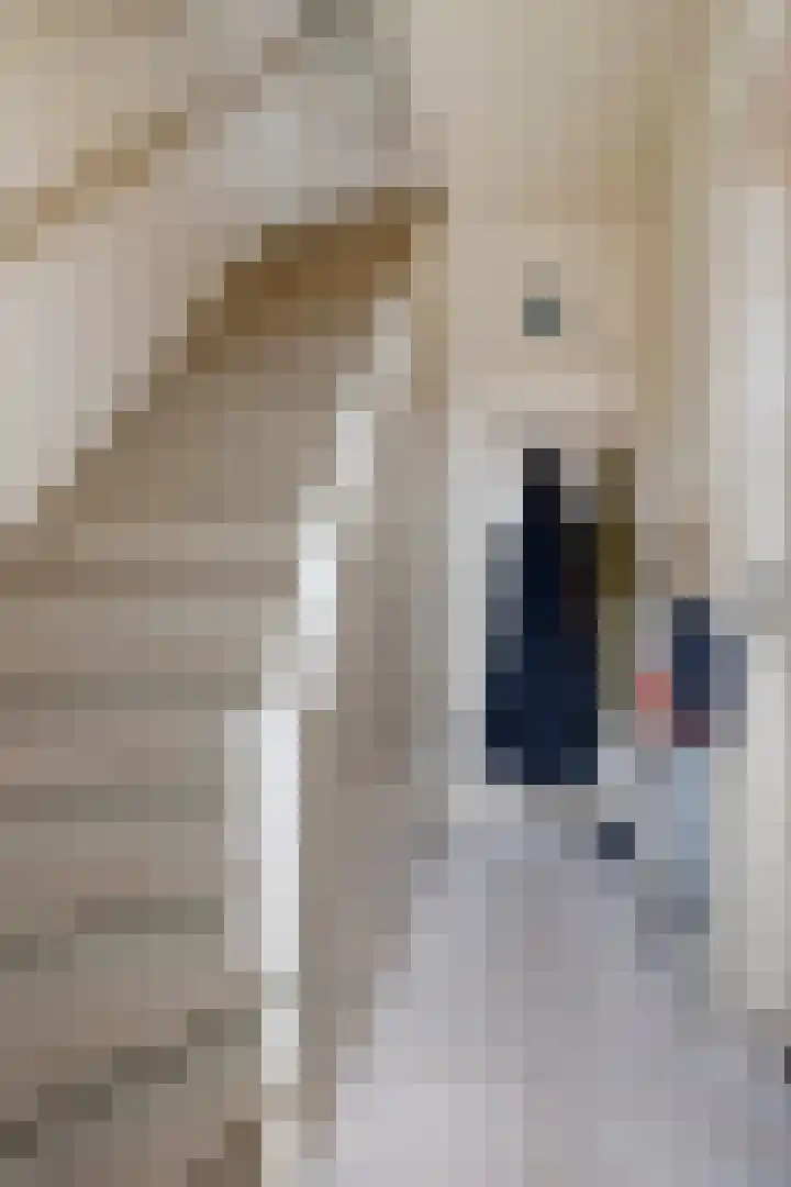't Hofke 86 Eindhoven thumbnail 10