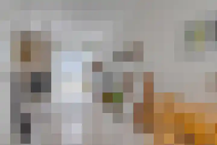 't Hofke 86 Eindhoven thumbnail 13